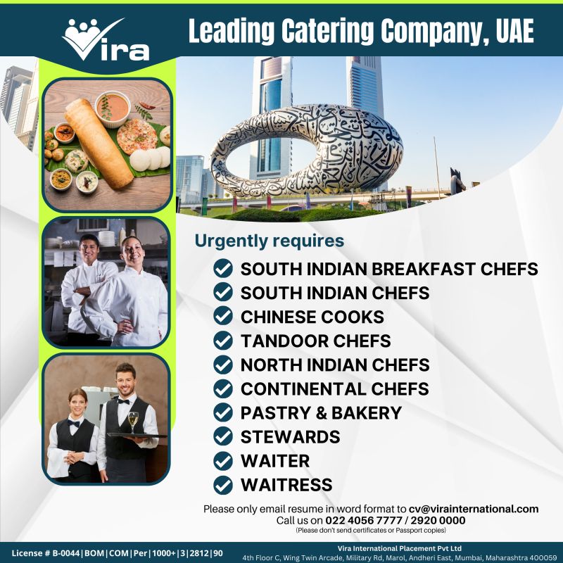 Catering Job| South Indian, Chinese, and Continental chefs working in a busy UAE catering kitchen